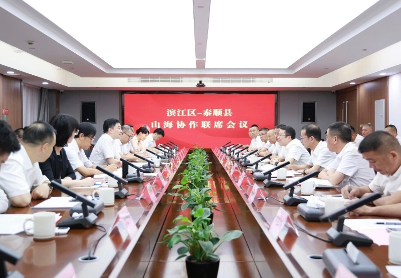 濱江區(qū)黨政代表團(tuán)赴泰順縣開(kāi)展山海協(xié)作工作.jpeg
